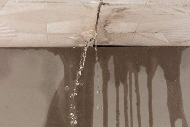 Professional Water Damage Repair technician working in Ector, TX
